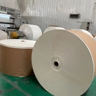 Dia 1200mm Cup Stock Paper Raw Material Required For Paper Cup Manufacturing